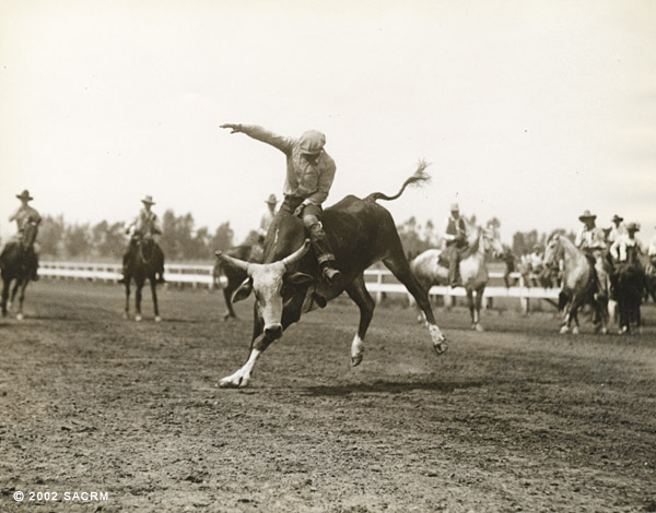 [Bull Rider]