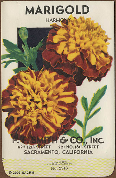 [Marigold Seed Packet]