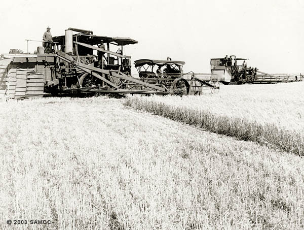 Harvesting barley, Holland Tract