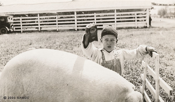 Boy with prize winning pig