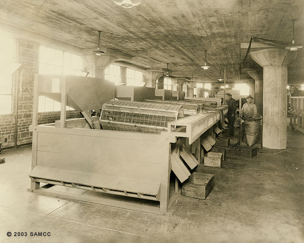 Almond Processing Machinery
