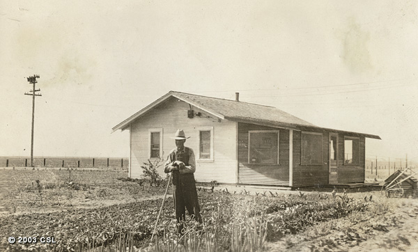 Farmer in his garden