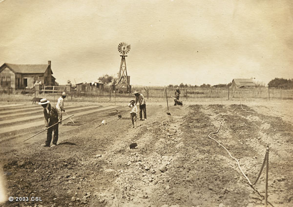 [Laborers working seed beds]