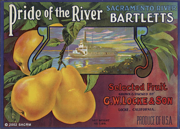 [Riverboat - Fruit label - Sacramento River - Locke]