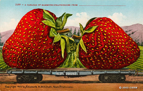 [Railroad flat car loaded with giant strawberries]